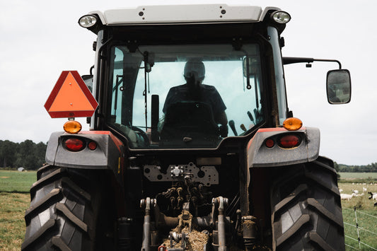 Dig Deeper: Why We Choose Regional